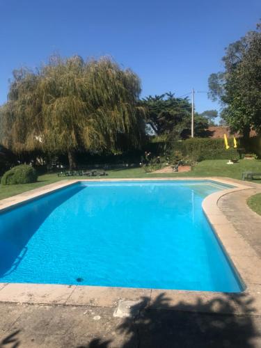 Quinta da Luz garden paradise with pool