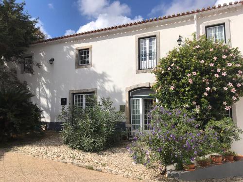 Quinta da Luz garden paradise with pool