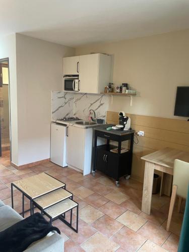 a small kitchen with a counter and a table in a room at La Casa ISAIA, Cap Corse in Sisco