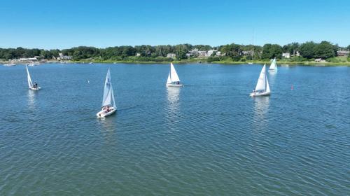 a group of small sailboats on a large lake at Walk to Beach Close to Town in Orleans