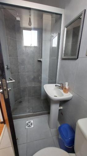 a bathroom with a shower and a sink and a toilet at Acogedor y Cómodo Monoambiente I in Cochabamba
