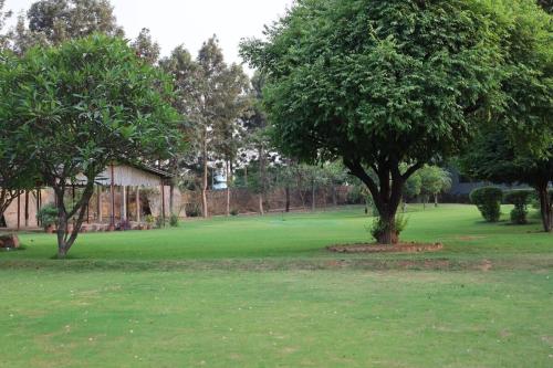 a golf course with two trees in a field at Niladri farms in Bhundsi