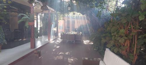 a room with a table and a dog walking in it at LA CASONA Hotel Boutique in Refineria Camiri