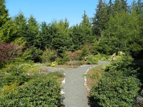 a path through a garden with trees and bushes at PA Whispering-Pines in Port Angeles