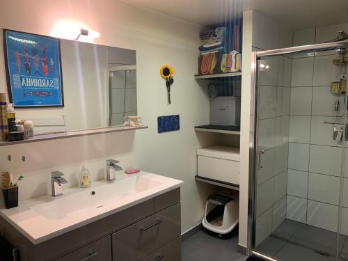 une salle de bain avec un lavabo et une douche dans l'établissement Superbe T3- Two bedrooms appartment with garden and pétanque! Perfect Spot!, à Bordeaux
