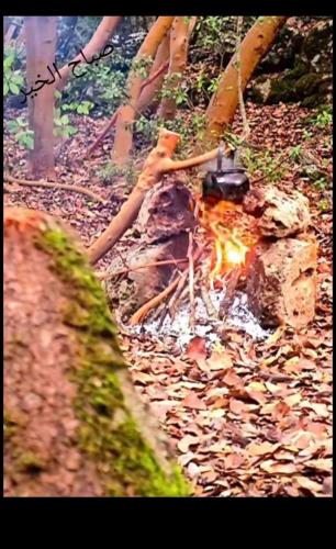 ダナにあるDana Village Lodgeのギャラリーの写真