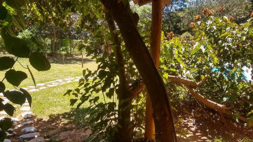 JACARANDÁ Chalés com piscina em São José da Serra MGにある庭