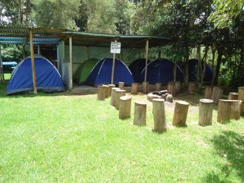 Zahrada ubytování SOFA CAMP Naivasha