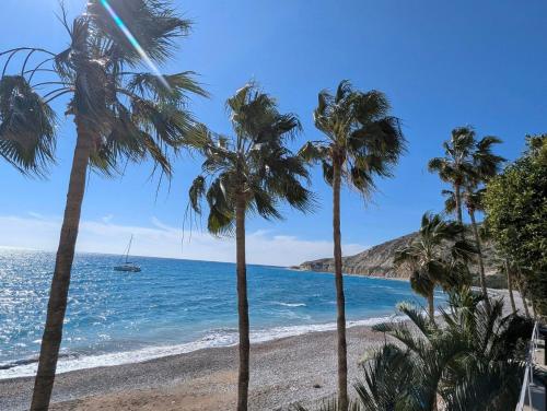 a beach with palm trees and a boat in the water at Chariandry Court in Pissouri
