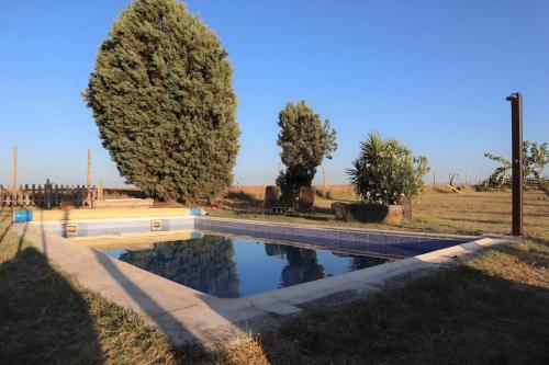 ein Pool auf einem Feld mit zwei Bäumen in der Unterkunft Finca Rural con piscina en Calera y Chozas in Talavera de la Reina