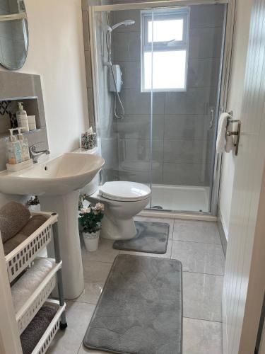a bathroom with a sink and a toilet and a shower at Birch Valley Accommodation Tinahely Wicklow Ireland in Killicreny Bridge
