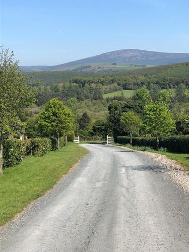 an empty road with trees and a hill in the distance at Birch Valley Accommodation Tinahely Wicklow Ireland in Killicreny Bridge