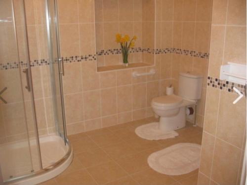 a bathroom with a toilet and a glass shower at Birch Valley Accommodation Tinahely Wicklow Ireland in Killicreny Bridge