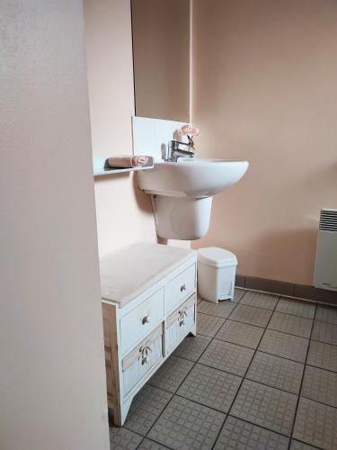 une salle de bain avec un lavabo et des toilettes dans l'établissement De couleurs et d'eau fraîche, à Navarrenx