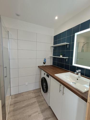 une salle de bain avec un lavabo et une machine à laver dans l'établissement Rez-de-jardin indépendant Ajaccio calme nature, à Ajaccio