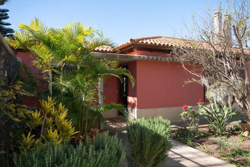 Κήπος έξω από το Villa en el Norte de Tenerife