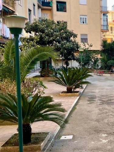 L'Angolo Del Sorriso