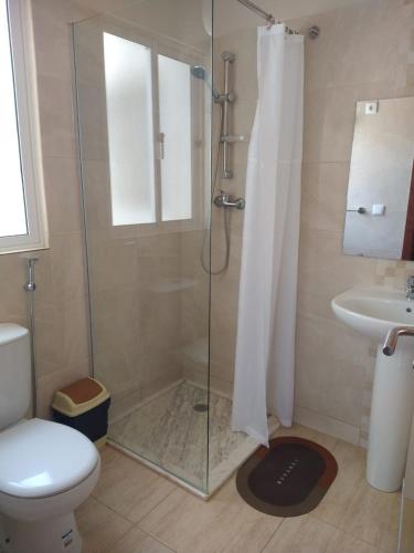 a bathroom with a shower and a toilet and a sink at Ladeira apartamentos in Ribeira Grande