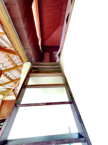 a ladder leading up to the top of a building at Corcovado Green Cabin & House in Drake