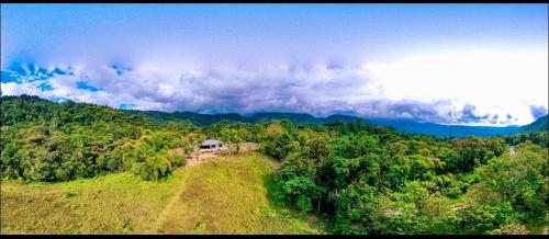 a house on a hill in the middle of a forest at Quinta El Dorado - private villa near Mindo in Mindo