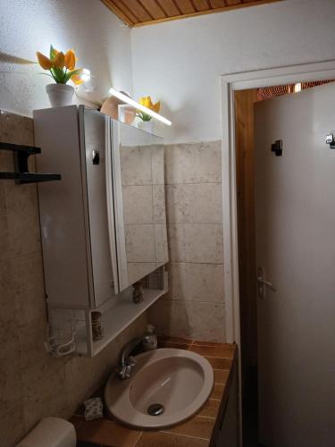une salle de bain avec un lavabo et un miroir et des toilettes dans l'établissement Le Patio, à La Celle-sous-Gouzon