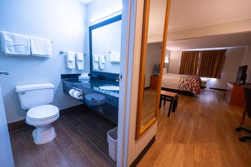 Ένα μπάνιο στο Red Roof Inn & Suites Danville, IL