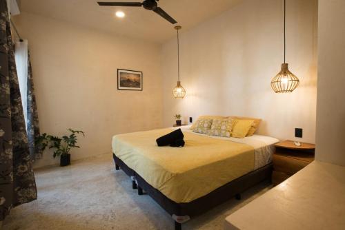 a bedroom with a bed with a black cat on it at Casa Miztli in Brisas de Zicatela