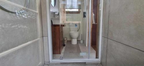 a bathroom with a toilet through a glass door at Rameka Chalet in Takaka