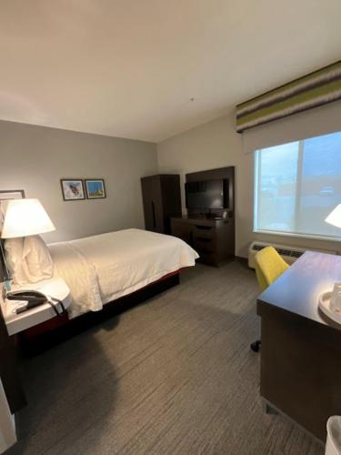 a hotel room with a bed and a television at Hampton Inn by Hilton Montrose in Montrose