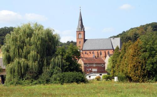 a church with a steeple and a field with a building at Birkenhof Family Lodge in Rieschweiler-Mühlbach