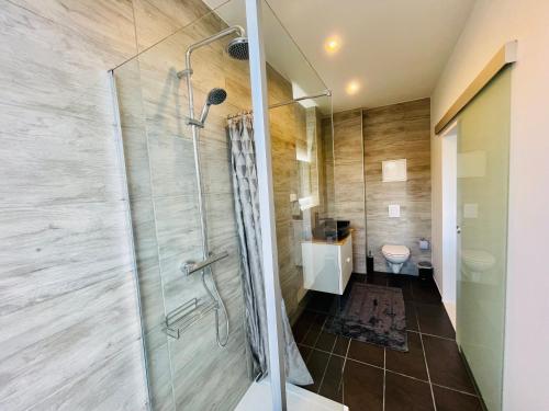 a bathroom with a shower and a toilet at Apartment im Herzen von Meissen No3 in Meißen