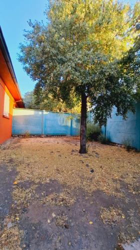 a tree in a yard next to a fence at Casa Terracota in Chillán