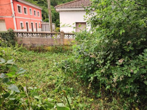 Afbeelding uit fotogalerij van Apartamento Rural Casa Carolina in Brañella