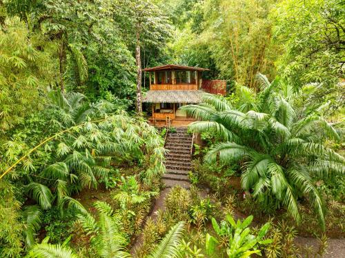 En have udenfor Copa De Arbol Beach & Rainforest Resort