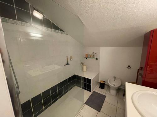 卡布勒通Spacieux Duplex en Centre-Ville avec Parking et Animaux Acceptés - FR-1-413-254的带水槽和马桶的浴室