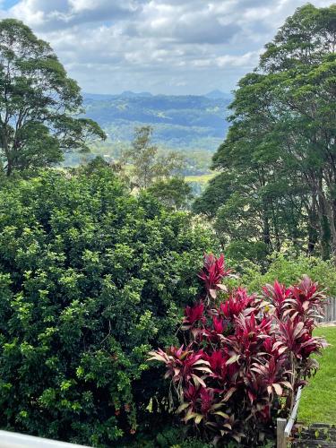 a bush with red flowers and trees in the background at Emirau in Montville