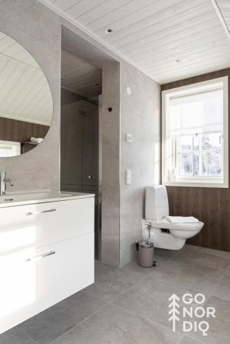 a bathroom with a toilet and a sink and a mirror at The Red Fox Lodge in Tällberg