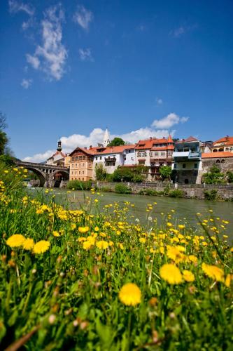 a field of yellow flowers next to a river with buildings at Gästehaus Biobauernhof Mandl in Murau