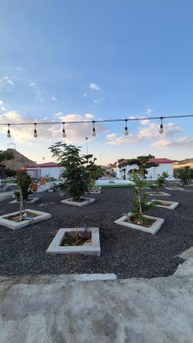 a group of bonsai trees sitting on top of gravel at مزرعة-جوري--Jory-Farmhouse in Hatta