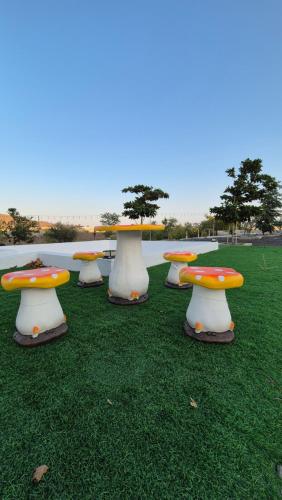 a row of tables with mushrooms on the grass at مزرعة-جوري--Jory-Farmhouse in Hatta