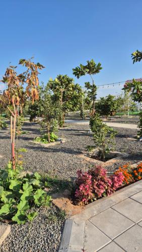 a garden with trees and flowers on a gravel road at مزرعة-جوري--Jory-Farmhouse in Hatta