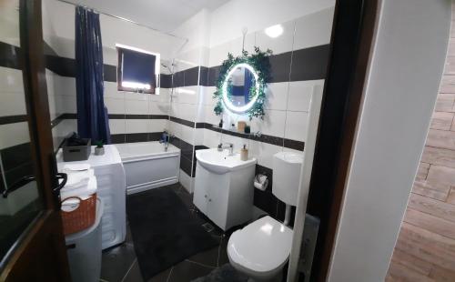 シビウにあるArmonia Sweet Sibiuのトイレと洗面台付きのバスルーム