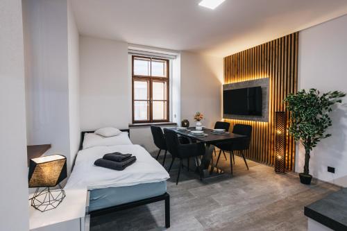 TV a/nebo společenská místnost v ubytování Apartmány U Doskočilů