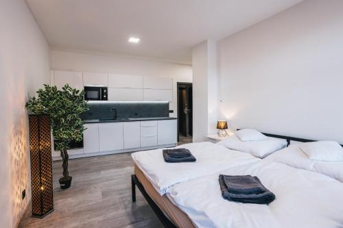 Kuchyň nebo kuchyňský kout v ubytování Apartmány U Doskočilů