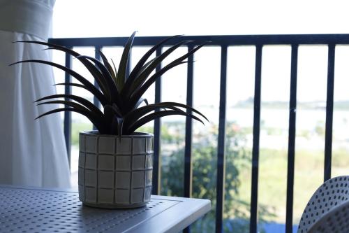 a potted plant sitting on a table in front of a window at Lá Riverside Boutique Hotel in Mỹ Phước