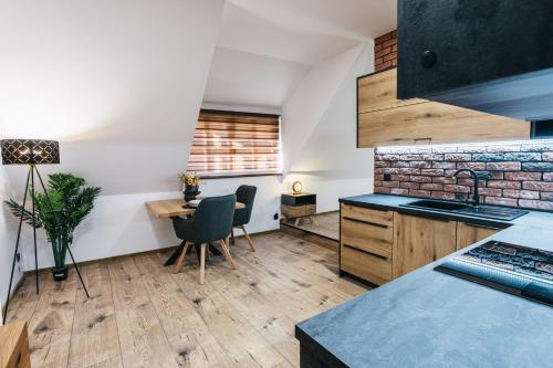 Kuchyň nebo kuchyňský kout v ubytování Apartmány U Doskočilů