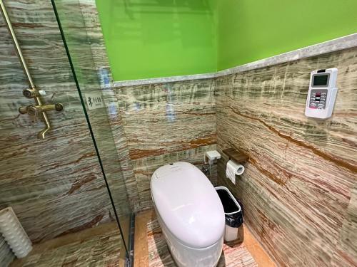 a bathroom with a toilet and a green wall at Six-rafter Hall designer hot spring inn in Shangzhi