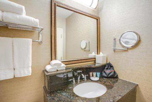a bathroom with a sink and a mirror at Crowne Plaza New Orleans French Qtr - Astor by IHG in New Orleans