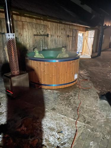 Billede fra billedgalleriet på Casa Larisa i Cacica