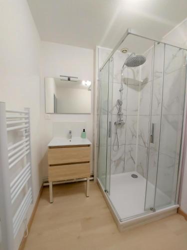 une salle de bain avec douche et lavabo dans l'établissement Cosy 3 - Audincourt centre, à Audincourt